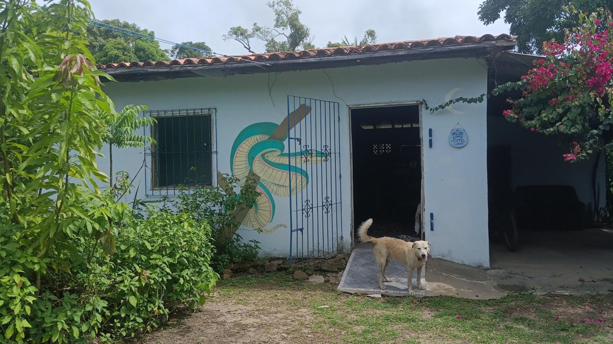 Eco Hostel Lunar Soure Exterior photo